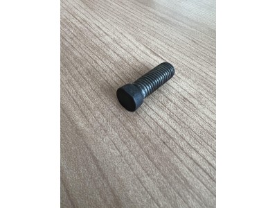 M12 IH low head screws